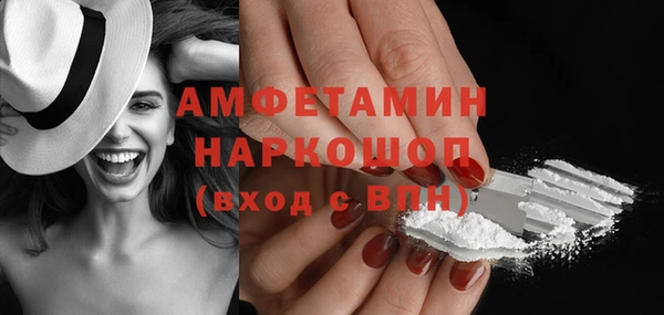 молекула духа Тайга