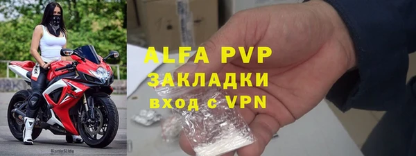 молекула духа Тайга