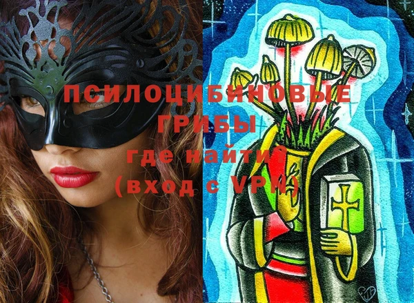 молекула духа Тайга