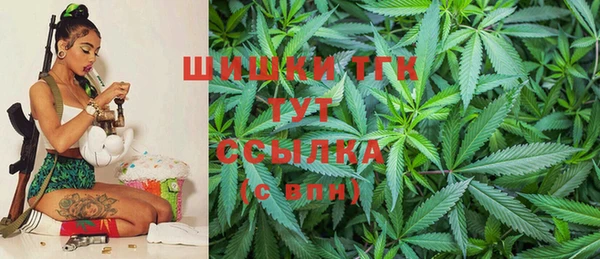 соль ск Тавда