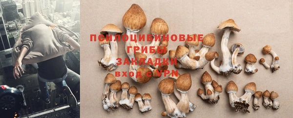 каннабис Белоозёрский